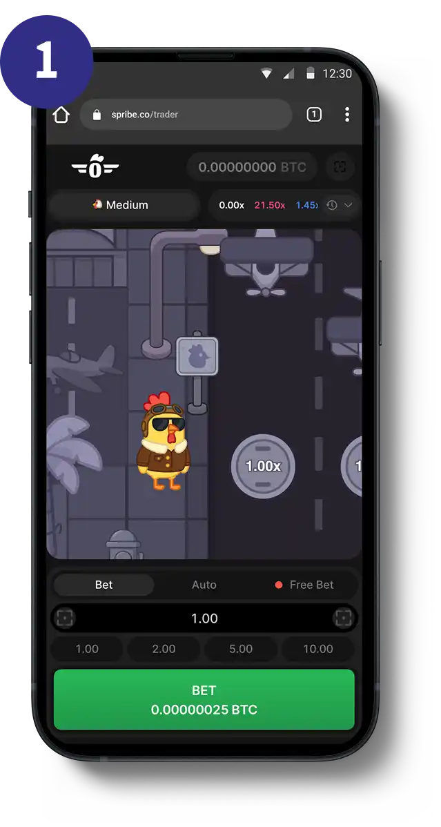 Pilot Chicken How to Play 1