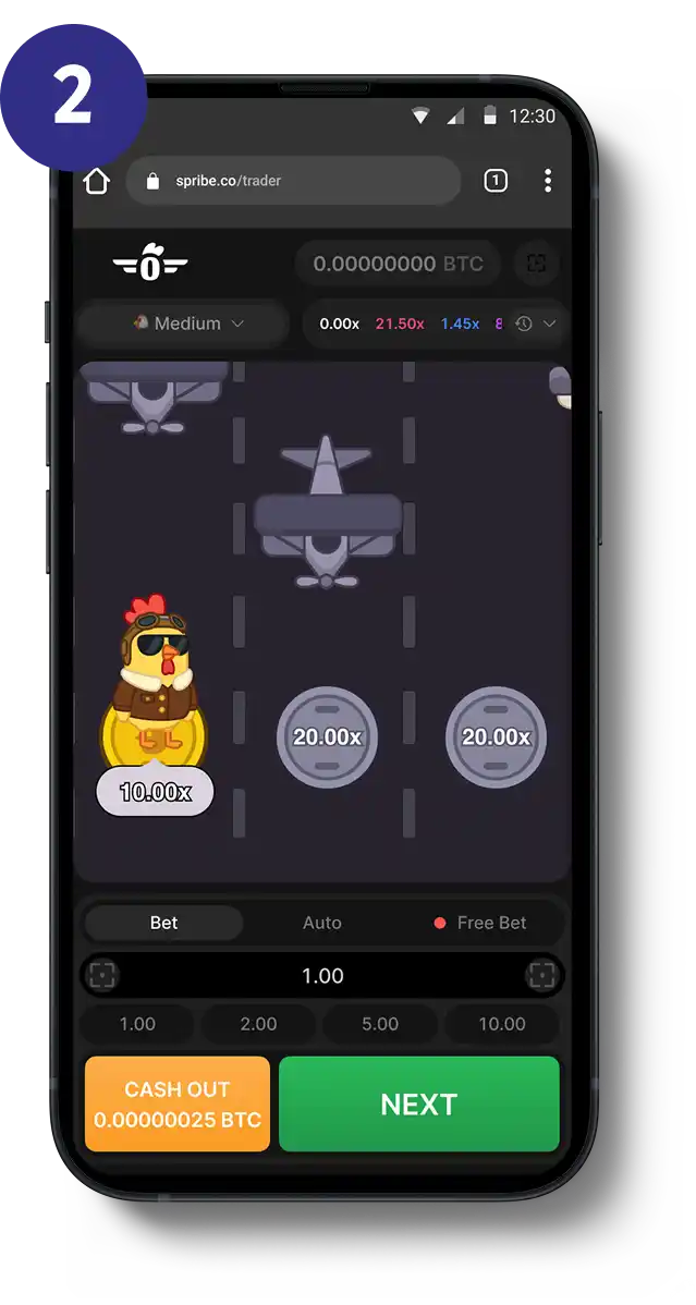 Pilot Chicken How to Play 2