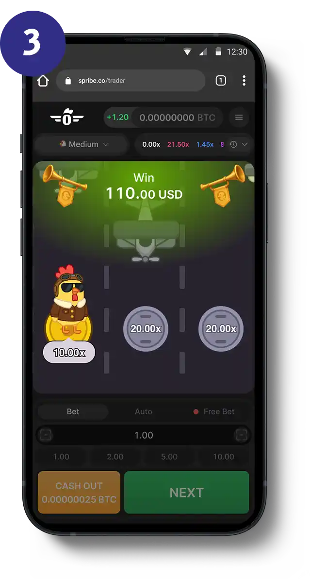 Pilot Chicken How to Play 3